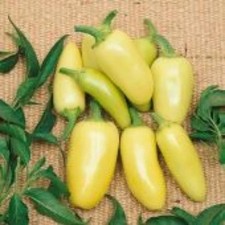 25  seeds Caloro  hot pepper garden planting spicy food