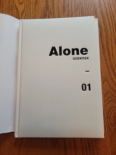 Seventeen Alone Al1 2017 CD 4. Mini Album Ver. 1 01 alle ungeprüft LESEN - Bild 16 von 19