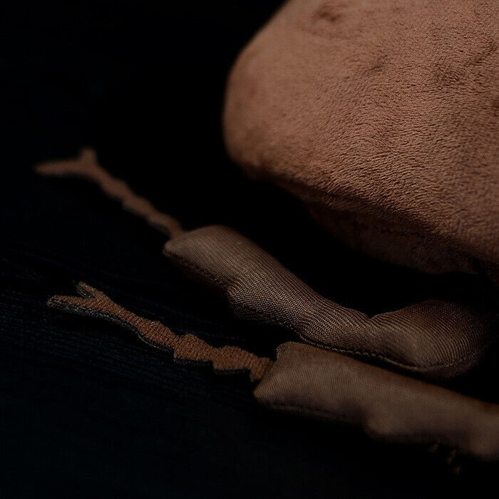 Foto 7 di 8