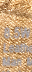 Bild 9 von 9