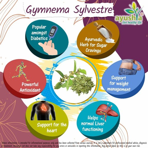 Gymnema Sylvestre (Gurmar) Capsule - Picture 6 of 15