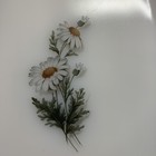 Bild 8 von 11