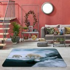 3D Polar Bear Glacier C263 Animal Non Slip Rug Mat Round Elegant Carpet Zoe