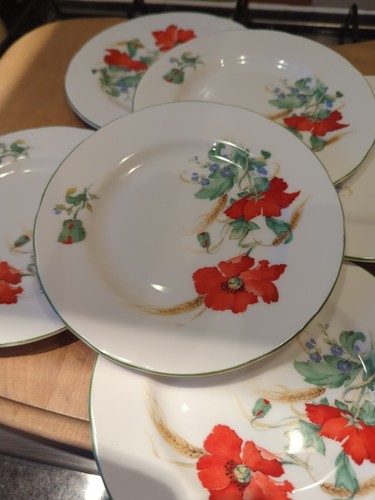 DUCHESS BONE CHINA MOHNBLUMEN 17cm Beilagenteller X6 einwandfreier unbenutzter Zustand  - Bild 4 von 5