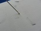 Picture 2 of 5