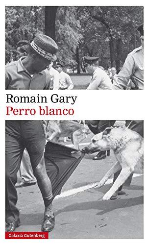 Perro blanco - Imagen 1 de 1