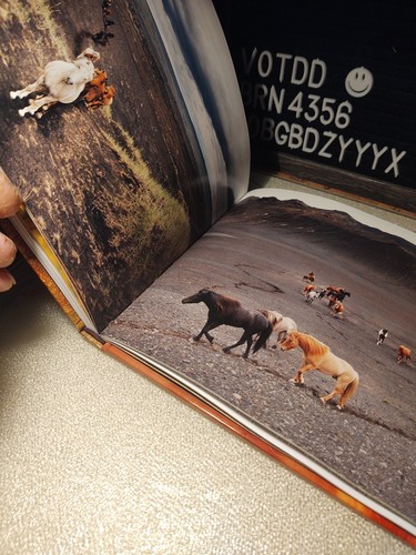 Rare Book VTG 2013 2016 THE Horses of Iceland Gigia Einarsdottir 300 PHOTOGRAPHS - Picture 18 of 24