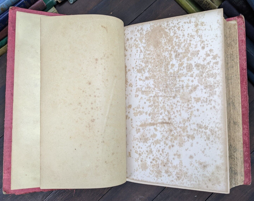 Vintage Don Quixote 1857 1,000 illustrations Johannot English Translation Jarvis - Foto 5 di 11