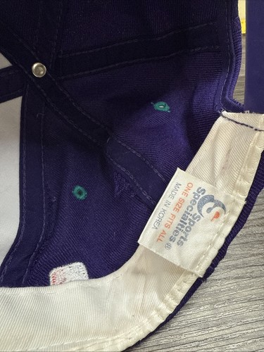 Cappello Berretto Charlotte Hornets Sports Specialties Orlo Scritta Snapback Vintage - Foto 7 di 9