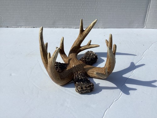 Faux Deer Antler Art Decor Bowls Set of 3 Hunting Cabin Rustic - Picture 7 of 7
