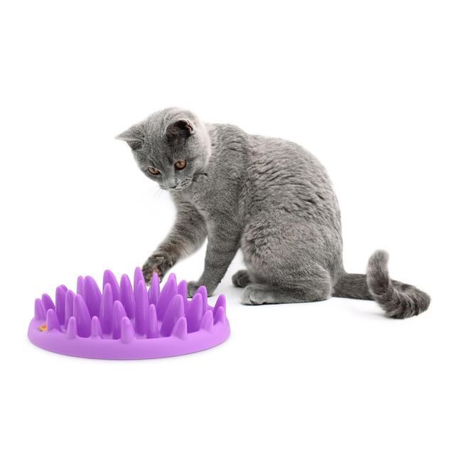 Northmate Interactive Cat Feeder (PACK OF 6) Northmate Interactive Cat Feeder (PACK OF 6)