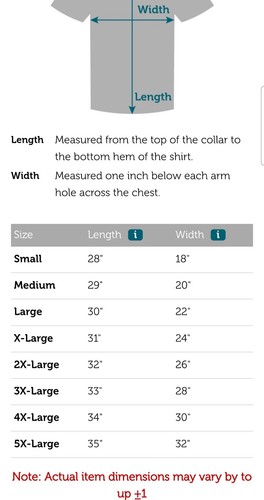 Pete The Cat Playing Guitar "Groovy" Grafik T-Shirt XL Neon Orange  - Bild 9 von 13