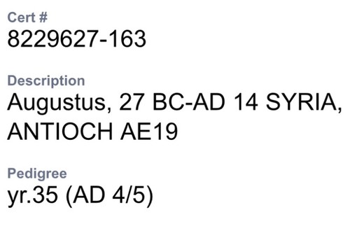 Roman Emperor Octavian Augustus 4AD-5AD Coin NGC Genuine Ancient Antioch AE19 - Picture 6 of 9