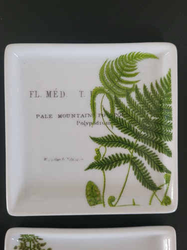 Rosanna L'Orangerie Antique Botanical Fern 4PC Square Dip Dish Set Collectible - Picture 6 of 9