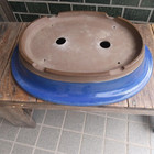 Huge Extra Large 40cm very rare " 和鉢常滑 " Traditional Tokoname bonsai pot Japan