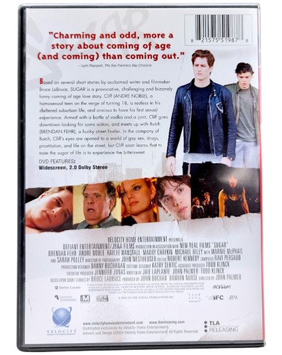 Sugar DVD 2004 Unrated | Brendan Fehr Andre Noble | Bruce LaBruce LGBTQ+ Drama - Picture 3 of 3