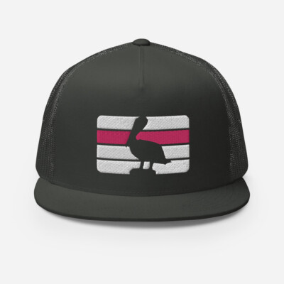 Human Rights Equality St Pete Florida Pelican Salt Life Flat Brim Hat Pink