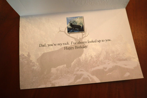 Top of the world Dad happy birthday deer PUMPERNICKEL PRESS greeting card - Picture 2 of 4
