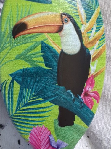 Toucan Hairbrush Wide Tooth Paddle Brush Hair Accessory Jungle Tropical Floral L - Picture 7 of 24