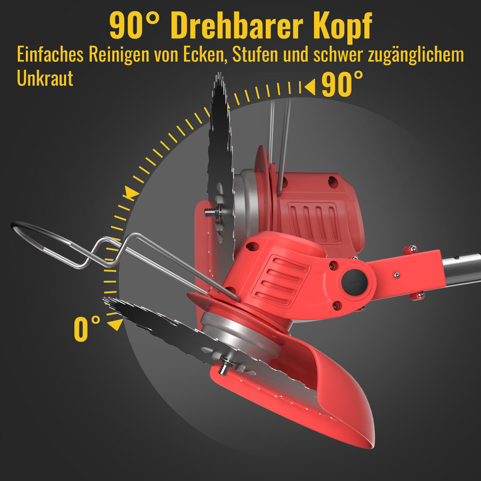 Bild 5 von 12
