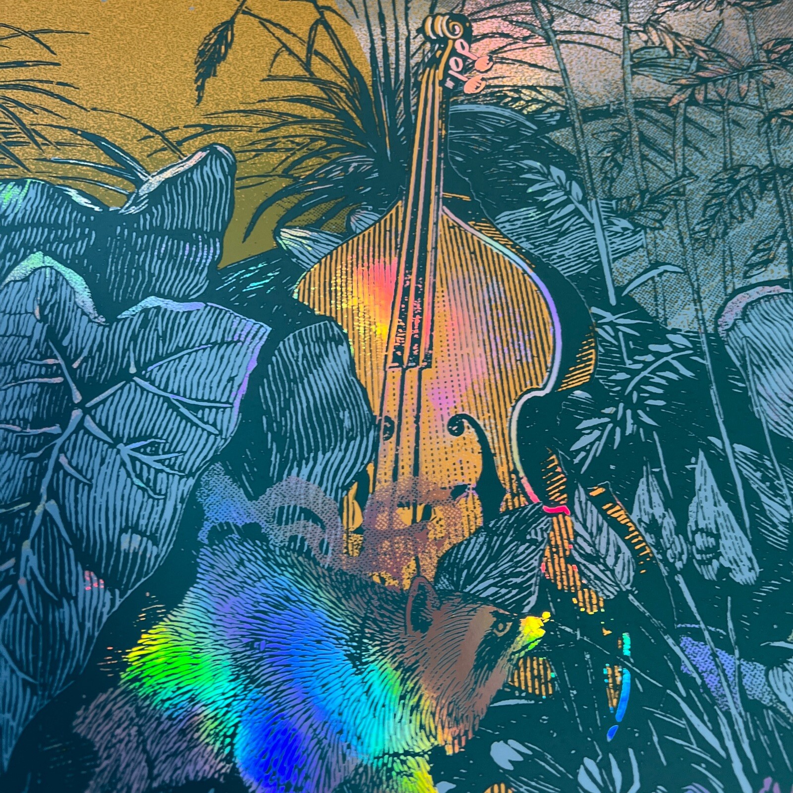 Photo 3/19