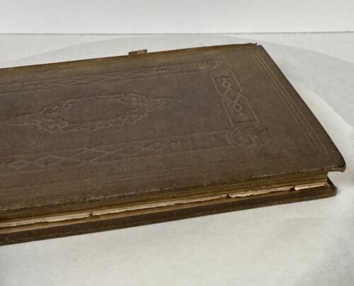 Historical Antiquarian Collection: New York Cabinet of Natural History 1800s - Picture 8 of 24