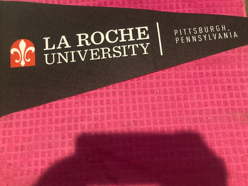 La Roche University PENNANT - Redhawks - PITTSBURGH Pennsylvania PA - McCandless - Picture 4 of 4