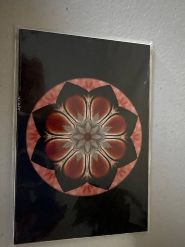 IMPRESIÓN FOTO DIGITAL NUMERADA MANDALA ESPECIES EN PELIGRO DE EXTINCIÓN BRETT MILEY - Imagen 4 de 9