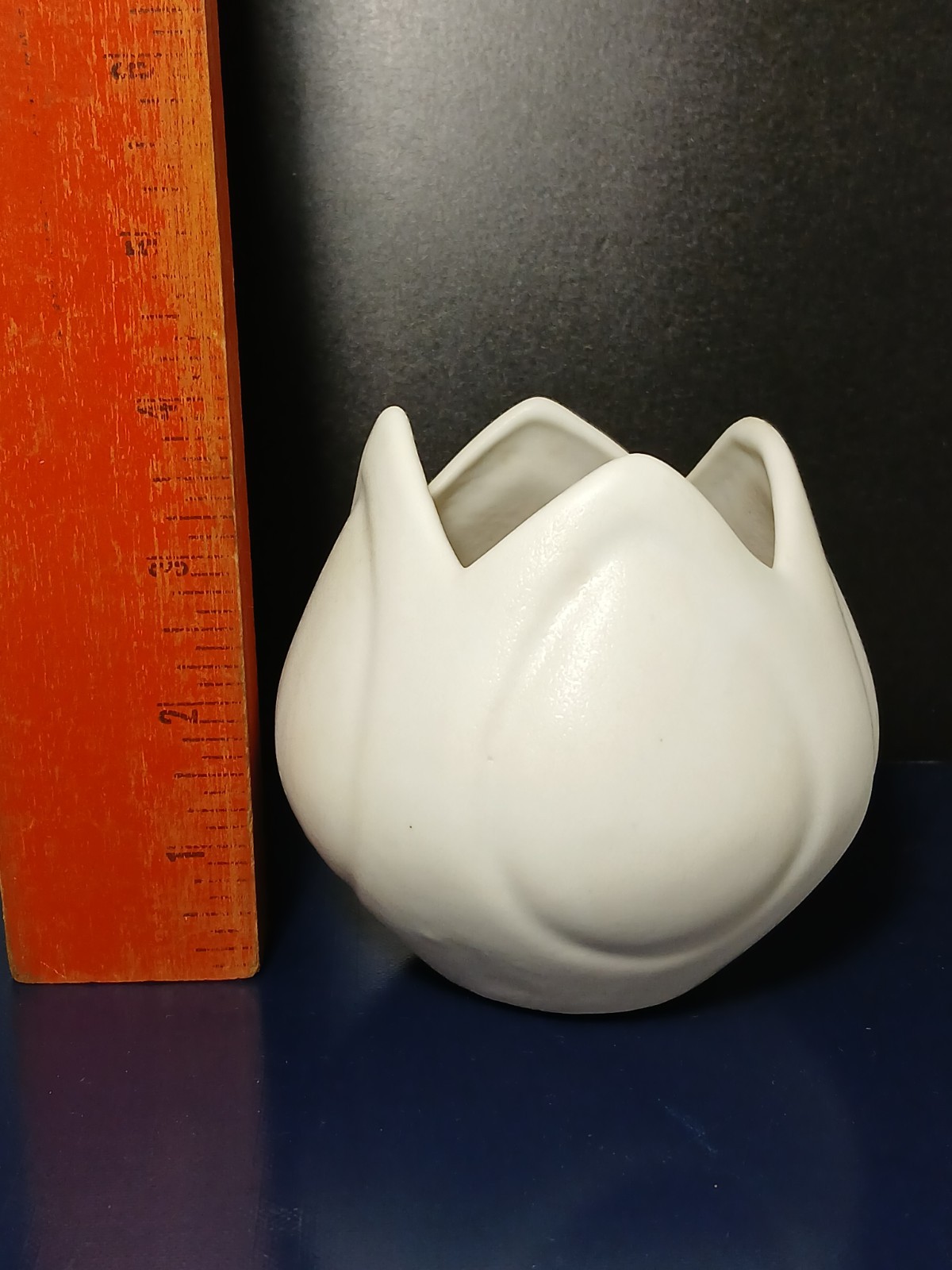 Picture 10 of 11