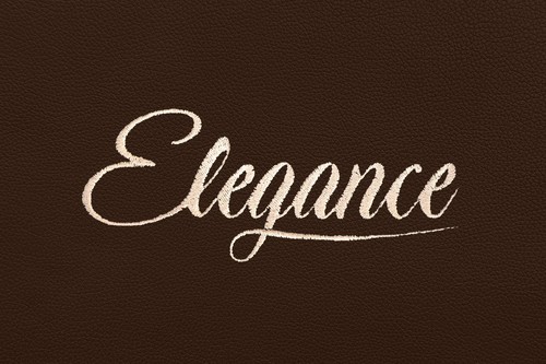 LKW Sitzbezüge für DAF XG+ XG XF NG 10.21- Gleiche Sitze BRAUN - Bild 4 von 6