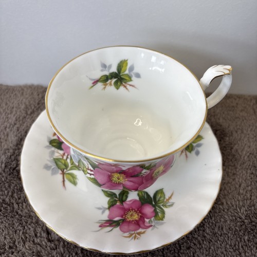 Royal Albert Prairie Rose Vintage Bone China aus England Tasse & Untertasse Set - Bild 3 von 12