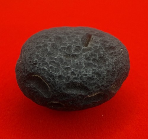 Saffordit, Cintamani, Top Qualität, Grade A, Arizona Tektit, 11,91 Gramm - Bild 6 von 10