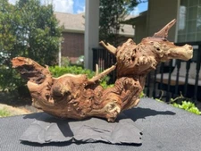 MOUNTED MOPANI WOOD AQUARIUMS FISH RIPTILES DECORATION PET SUPPLIES ART GARDEN