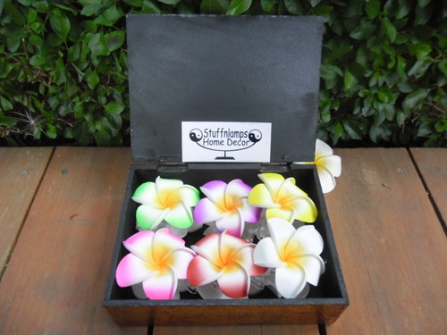 Frangipani Claw Hair Clips x packs 7cm or 10cm diameter medium to large - Foto 13 di 34