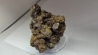 Foto 5 di 9