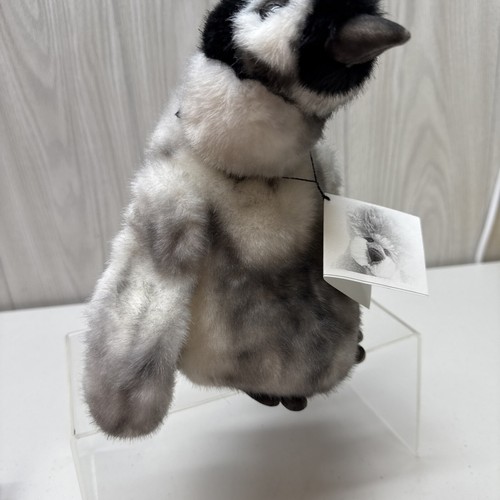 2003 ELLEN BORGGREVE OOAK "JERONIMO" Penguin 10" Handmade 1 OF 1 Signed COA - Picture 18 of 24