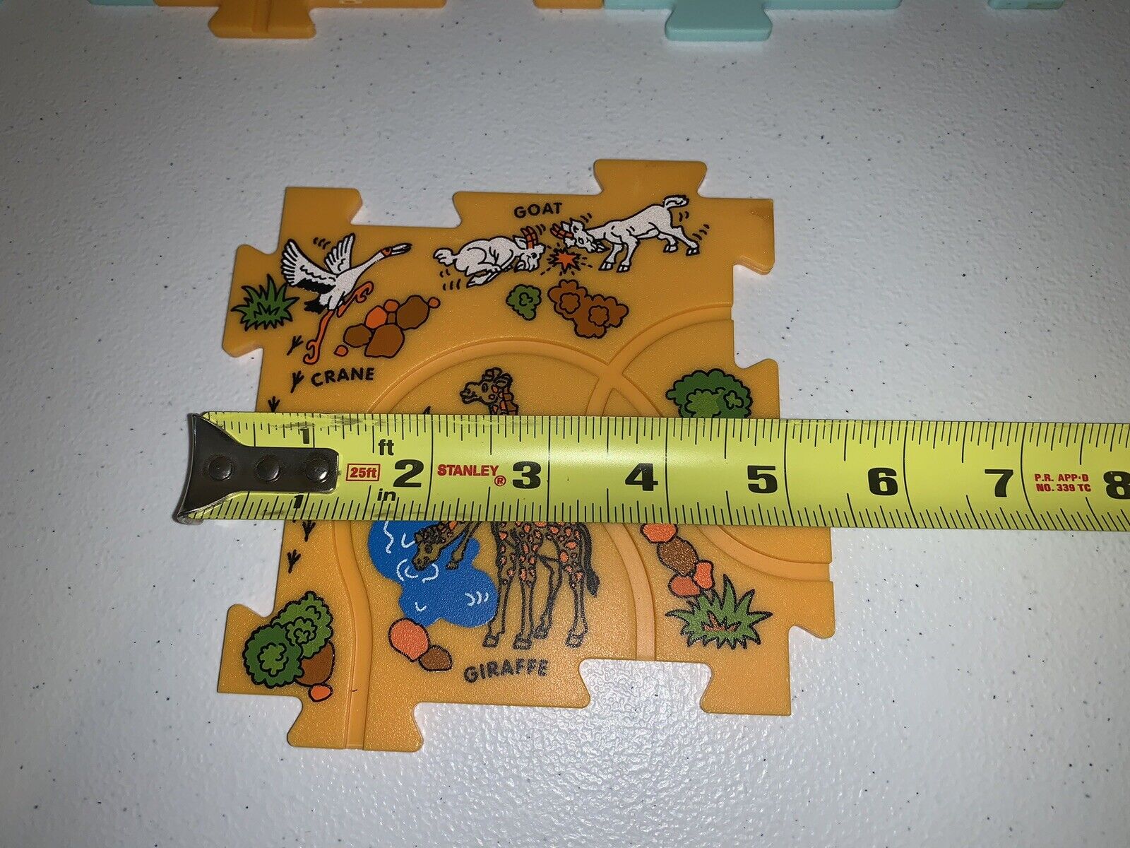Picture 6 of 6