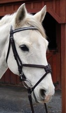 Nunn Finer Figure-8 Bridle