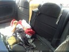 Foto 8 di 12