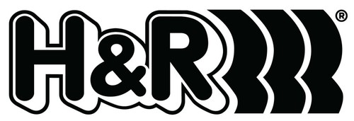 H&R 94-03 for Volkswagen Eurovan T4 Sport Spring - Foto 2 di 3