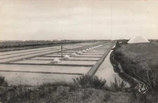 CARTE POSTALE DE FRANCE 107133