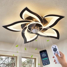 Ceiling Fan with Lights Remote Control, 24" Black, 6 Speeds 3 Light Color Low Pr