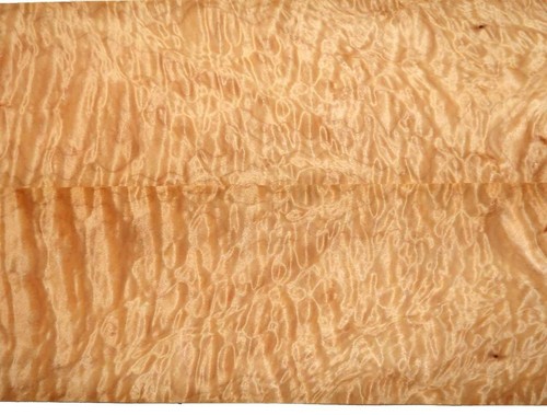 Chapa de arce concha acolchada de arce 62x12,5-13 cm 4 hojas - Imagen 3 de 4