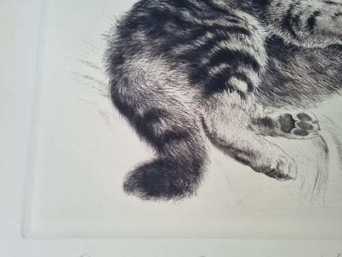 Kurt Meyer Eberhardt (1895 - 1957) Deutsch verspieltes Kätzchen Katze Radieren Gravur - Bild 7 von 12
