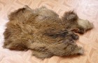 Foto 1 di 2
