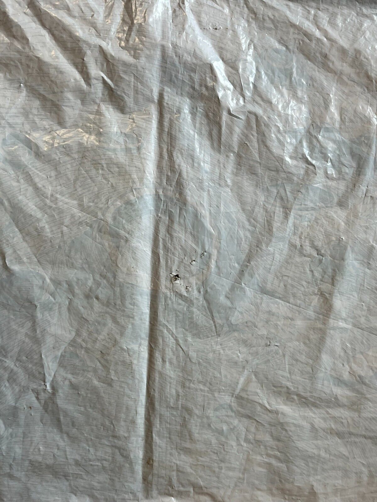 Foto 13 di 16