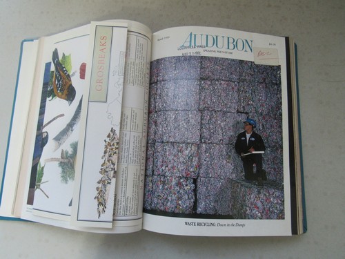 Audubon Magazine Bound ~ 1990, January - November, Volume 92, Beautiful Pictures - Imagen 8 de 9