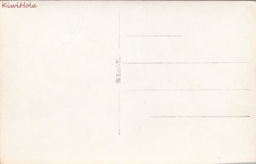Postcard RPPC Panorama Parcial Sao Paulo Brazil - Picture 2 of 2