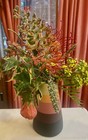 Bild 4 von 9
