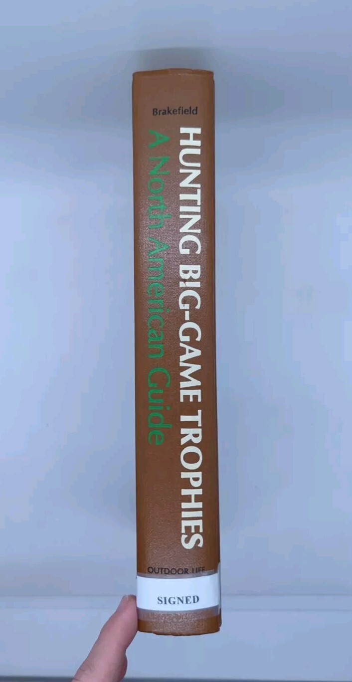 Foto 2 di 4